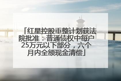 红星控股重整计划获法院批准：普通债权中每户25万元以下部分，六个月内全额现金清偿